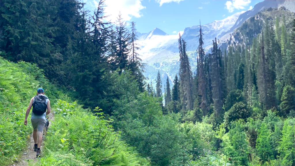 The Asulkan Valley Trail hike in Glacier National Park begins in a lush valley and follows the Illecillewaet River.