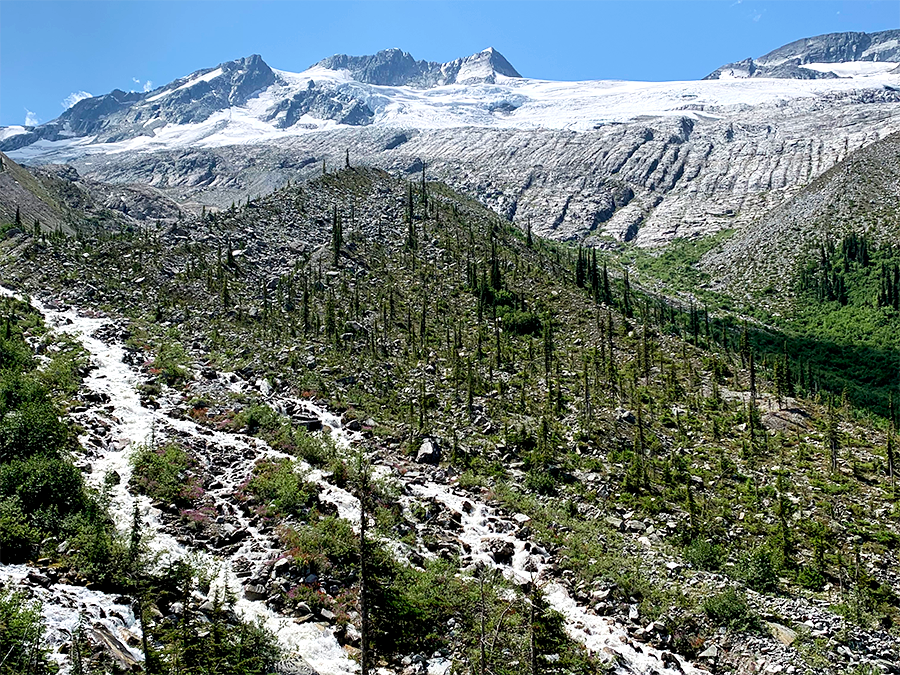 Scenic mountain ranges, glacier and river views seen while hiking Asulkan Valley Trail