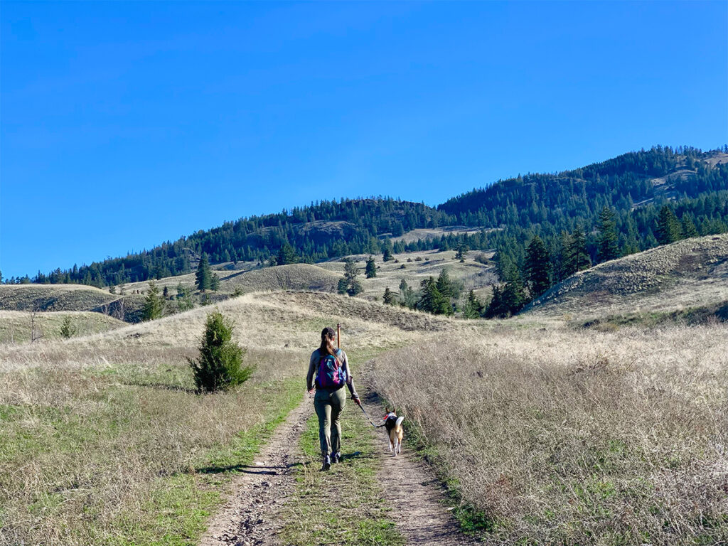 Woman and her dog walking uphill on a hiking trail in a grassland