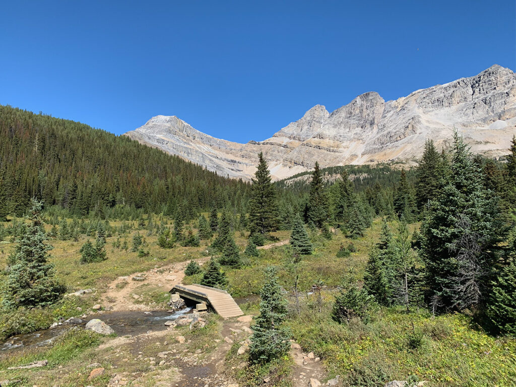 A woman and her dog pose on a wooden bridge crossing over a running creek