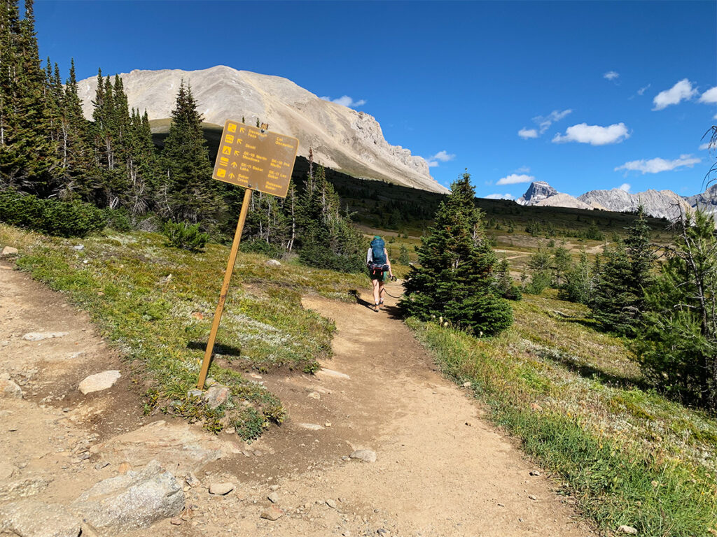 Hiking on Skoki Loop for a backcountry camping in Banff trip