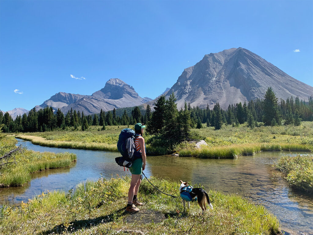 Skoki Loop hike on banff hiking trips
